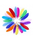20 sztuk przedszkole handmade kolorowe pióra DIY dekoracje dzieci twórczej sztuki kursy materiałów do wytwarzania BS59