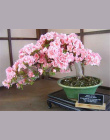 Bonsai Japoński Sakura Bonsai Kwiat Wiśniowe kwiaty Wiśniowe Drzewo Roślin Ozdobnych 10 nasiona/opakowanie Dom Ogród Bonsai