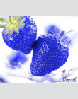 Bonsai Gorąca Sprzedaży 100 sztuk/worek Niebieski Truskawki Rzadkich Roślin Owocowych Domu Ogród