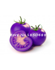 Fioletowy najświętszego owoce pomidor rośliny warzyw i owoców bonsai 100 sztuk/pakowania dla domu ogród * rolnicze rośliny łatwe