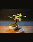 100 sztuk Truskawki Drzewa bonsai Pyszne Wieloletnia Truskawki bonsai Odkryty Dziedziniec Kryty Rośliny Bonsai DIY Home Ogród Ro