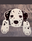 Svetanya 230x250 cm Pies Cartoon Rzuty Koc Polar Tkaniny Arkusz Narzuta Twin Pełna Królowej King size