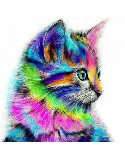 Bezramowe abstrakcyjne kot zwierząt diy malowanie by numbers akrylowa farba na płótnie rysunek farba by numbers unikalny prezent