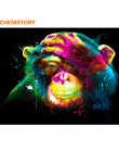 CHENISTORY Małpa DIY Malowanie Przez Numery Zwierzęta Malowanie Kaligrafia Akrylowe Farby Przez Numery Dla Home Decor 40x50 cm d