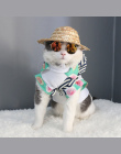 Cat Eye-nosić Okulary Dla Zwierząt Piesek Okulary Cat Okulary Zdjęcia Rekwizyty Akcesoria Pet Supplies Pet Dog cat produkty