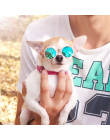 Cat Eye-nosić Okulary Dla Zwierząt Piesek Okulary Cat Okulary Zdjęcia Rekwizyty Akcesoria Pet Supplies Pet Dog cat produkty