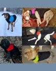 Wodoodporna Pet Dog Puppy Vest Kurtka Chihuahua Odzież Ciepłe Zimowe Ubrania Dla Psów Płaszcz Dla Małe Średnie Duże Psy 4 Kolory