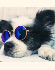 1 Sztuk Hot Sprzedaż Okulary Dla Pet Products Dog Pet Oczu nosić Dog Pet Okulary Zdjęcia Rekwizyty Akcesoria Dla Zwierząt dostaw