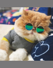 Pet Cat Okulary Okulary Pet Products Dog Dla Małych Psów Cat Eye-nosić Okulary Zdjęcia Rekwizyty Akcesoria Dla Psów Pet materiał