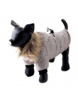Pawstrip 5 Rozmiar Pet Dog Coat Winter Warm Mały Pies Ubrania Dla Chihuahua Miękkie Futro Kaptur Puppy Kurtka Odzież
