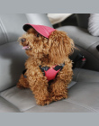 TAILUP 2017 Gorąca Sprzedaż Sun Hat Dla Psów Śliczne Pet na co dzień Bawełna Czapka Z Daszkiem Chihuahua Yorkshire Zwierzę Produ