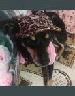 Pet Dog Hat Cap Czapka Z Daszkiem Mody Kapelusz Dla Psów Dorywczo Płótnie Cap Dla Psa Kapelusz Chihuahua Yorkshire 11 Kolory 30 
