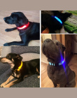Nylon LED Obroża dla zwierząt, Bezpieczeństwo Noc Miga Świecić W Ciemności Smycz Psa, psy Luminous Fluorescencyjne Obroże Pet Su