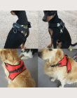 [TAILUP] Pet Products dla Dużych Psów Uprząż k9 Świecące Led Collar Puppy Ołów Zwierzęta Kamizelka Pies Prowadzi Akcesoria chihu