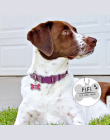 Pies ID Tag Grawerowane Metalowe Dostosowane Tagi Domowych Małe Duży Pies Akcesoria Spersonalizowane Kości Łapy Nazwa Tag Płyta 
