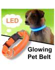 Pies LED Obroża Dla Kota Nylonowa Noc Bezpieczeństwo Anti-lost Light Up Miga Luminous Naszyjnik USB Obroże Dla Psów Puppy Pet ma