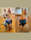 Oddychające Oczek Mały Pies Pet Szelki i Leash Set Puppy Kot Kamizelka Szelki Kołnierz Dla Chihuahua Pug Buldog Kot arnes perro