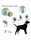 Lato przeciw owadom Cat Dog Collar Anti Pcheł Komary Kleszcze Wodoodporna Kot Flea Collar Akcesoria Dla Psów Pet Leczyć Opiekuńc