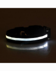Nylon LED Obroża dla Zwierząt Regulowany Luminous Noc Bezpieczeństwo Anti-lost Ciemne Światło Miga Świecące Obroże Psa Pet Suppl