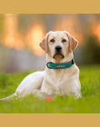 Obroże dla psów Spersonalizowana Klienta Obroża Skórzana Nazwa ID Tagi Dla Mały Średni Duży Psów Pitbull Buldog Beagle Correa Pe