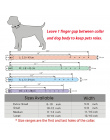 Bling Spersonalizowane Pet Dog Collar Rhinestone Dostosowane Darmowa Nazwa Diament Bucklet XS S M L