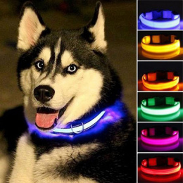 Nylon LED obroża dla Zwierząt, Bezpieczeństwo Noc Miga Świecić W Ciemności Smyczy Psa, Luminous Fluorescencyjne Obroże Dla Psów 