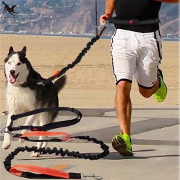 [TAILUP] psy Smycz Pet Products Psy Szelki Kołnierz Jogging Running Elastyczność Ręcznie Swobodnie Prowadzić i Regulowany Pas Li