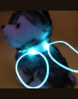 Wysokiej Jakości 1 Sztuk multi-color LED Pet Obroża Regulowana Noc bezpieczeństwo Pet Collar Luminous Light Up Pet Dog Jasny Koł