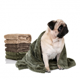 Flanela Koc Dywan Chłonne Ręczniki Ręcznik Psa Pet Supplies Szybkie Suche Ręczniki Szlafroki Dla Puppy Kot Kawy Beżowy Zielony