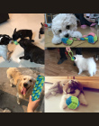 Bawełna Pies Zabawki Liny Węzeł Puppy Chew Ząbkowanie Zabawki Zęby Czyszczenia Zwierzęta Palying Ball Dla Małe Średnie Duże Psy