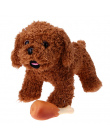 Pet Dog Squeak Chew Zabawki Śmieszne Kurczaka Nogi Wzory Psa Zabawki Dla Małych Duży Pies Kot Puppy Dźwięku Kurczaka Chew zabawk