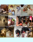Hoopet Pies Zabawki Ball Cat Gumowe Zabawki Interaktywne Zabawki Puzzle Żuć Szkolenia Ball Pet Outdoor Ogrodnicze Czyszczenia Zę