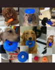Squeak Chew Zabawki Gumowe Dźwięku Dla Dużych Psów Szkolenia Funny Pet Gumy Żuć Duży Pies Zabawki Dźwięk Squeak Interaktywne Trw