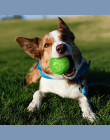 Dog Toy Pet Kule Gumowe Zabawki Squeaking Interaktywne Puppy Żucia Zabawki Dla Małych i Dużych Psów Szkolenia Gry Czyszczenia Zę