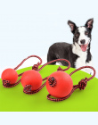 Solidna Gumowa Piłka Treningowa Zabawki Czyszczenia Zębów Psa Do Żucia Puppy Pet Zagraj Szkolenia Chew Ball Żucia Zabawki Z Uchw
