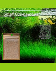 Waterweed Wody Akwarium Rośliny Nasiona Nasiona Traw, para/Cowhair/MIŁOŚĆ/Szczęście/w kształcie Serca Liści Waterscape Fish Tank