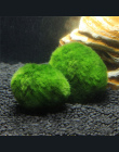 3-4 cm Cladophora Żywo Akwarium Roślin Fish Tank Krewetki Nano Dla MARIMO MOSS PIŁKI Fish Tank Ornament #20