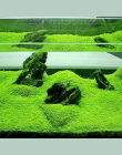 4 paczka/partia Akwarium Roślin Nasiona Wody Wodne Nasiona Trawy Łatwy Sadzenia Ozdobne Fish Tank Pejzaż Roślin