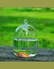 Jasne PETFORU 15 cm Wysokość Wiszące Szklane Akwarium Ryby Miska Fish Tank Kwiat Roślin Wazon z 23 cm Wysokość Biały stojak Fish
