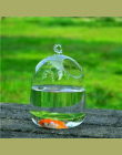Jasne PETFORU 15 cm Wysokość Wiszące Szklane Akwarium Ryby Miska Fish Tank Kwiat Roślin Wazon z 23 cm Wysokość Biały stojak Fish