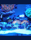 Sucker Koral Akwarium Sztuczne Rafy Silikonowe Roślin Z Sucker Ornament Woda Krajobraz Decor Fish Tank Akwarium Akcesoria