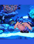 Sucker Koral Akwarium Sztuczne Rafy Silikonowe Roślin Z Sucker Ornament Woda Krajobraz Decor Fish Tank Akwarium Akcesoria