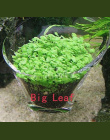 Akwarium Glossostigma Hemianthus Callitrichoides Trawy Wody Mini Liść Żywo Roślin Fish Tank Dekoracji Krajobraz Ornament