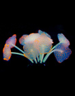11 liście Silikonowe Sztuczne Fish Tank Akwarium Coral Roślin Ornament Zwierzęta Podwodne Dekory Darmowa Wysyłka