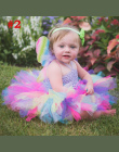 Dziewczyny Rainbow Fairy Fluffy Tutu Sukienka Sukienka z Pasującymi Pałąk Maluch Dziecka Halloween Urodziny Zdjęcie Kostium TS12