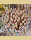 10 Sztuk/zestaw czterech kolorów z rdzenia Drewna ołówek ołówek Dostaw Sztuki Uczeń Szkoły Papeterii dzieci malarstwo pen