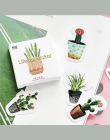 45 sztuk/partia Cactus Mini Papieru Naklejki Dekoracje DIY Ablum Pamiętnik Scrapbooking Naklejki Etykiety Kawaii Biurowe