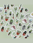45 sztuk/partia Cactus Mini Papieru Naklejki Dekoracje DIY Ablum Pamiętnik Scrapbooking Naklejki Etykiety Kawaii Biurowe