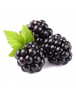 Nowy 2018! 200 sztuk/partia słodkie czarna jagoda Giant jeżyny scheda Blackberry bonsai Triple Crown Blackberry czarny morwy