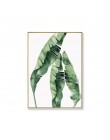 Dekoracyjne plakaty ścienne przedstawiające tropikalne liście ozdobne monstery skandynawski styl do salonu